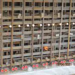 Kulvert Drammen sykehus bilde