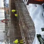 RV706 Nydalsbrua bilde