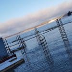 Minnested i Hole, Utøykaia bilde